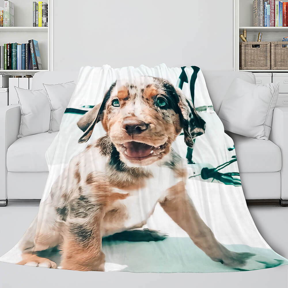 Couverture polaire en flanelle pour chiots pour animaux de compagnie Dunelm Literie Couverture de couette