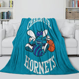 Load image into Gallery viewer, Charlotte Hornets Blanket Flannel Fleece Throw Room Decoration