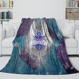 Load image into Gallery viewer, Charlotte Hornets Blanket Flannel Fleece Throw Room Decoration