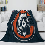 Load image into Gallery viewer, Chicago Bears Blanket Flannel Fleece Throw Kids Room Decoration