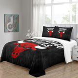 Charger l&#39;image dans la visionneuse de la galerie, Chicago Bulls Bedding Set Duvet Cover Without Filler