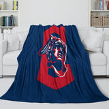 Load image into Gallery viewer, Cleveland Guardians Blanket Flannel Throw Room Decoration