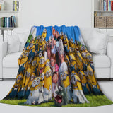 Charger l&#39;image dans la visionneuse de la galerie, Despicable Me 4 Blanket Flannel Fleece Throw Room Decoration