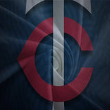 Load image into Gallery viewer, Minnesota Twins Bedding Set Quilt Cover Without Filler