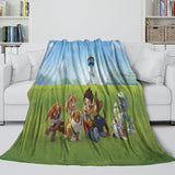 Charger l&#39;image dans la visionneuse de la galerie, Paw Patrol 2025 Blanket Kids Flannel Throw Room Decoration