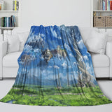 Charger l'image dans la visionneuse de la galerie, Sword Art Online Blanket Flannel Throw Kids Room Decoration