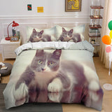 Load image into Gallery viewer, Cute Animal Pet Cats Bedding Set Quilt Duvet Cover