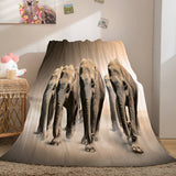 Load image into Gallery viewer, Cute Elephant Soft Flannel Fleece Blanket Dunelm Bedding Blanket